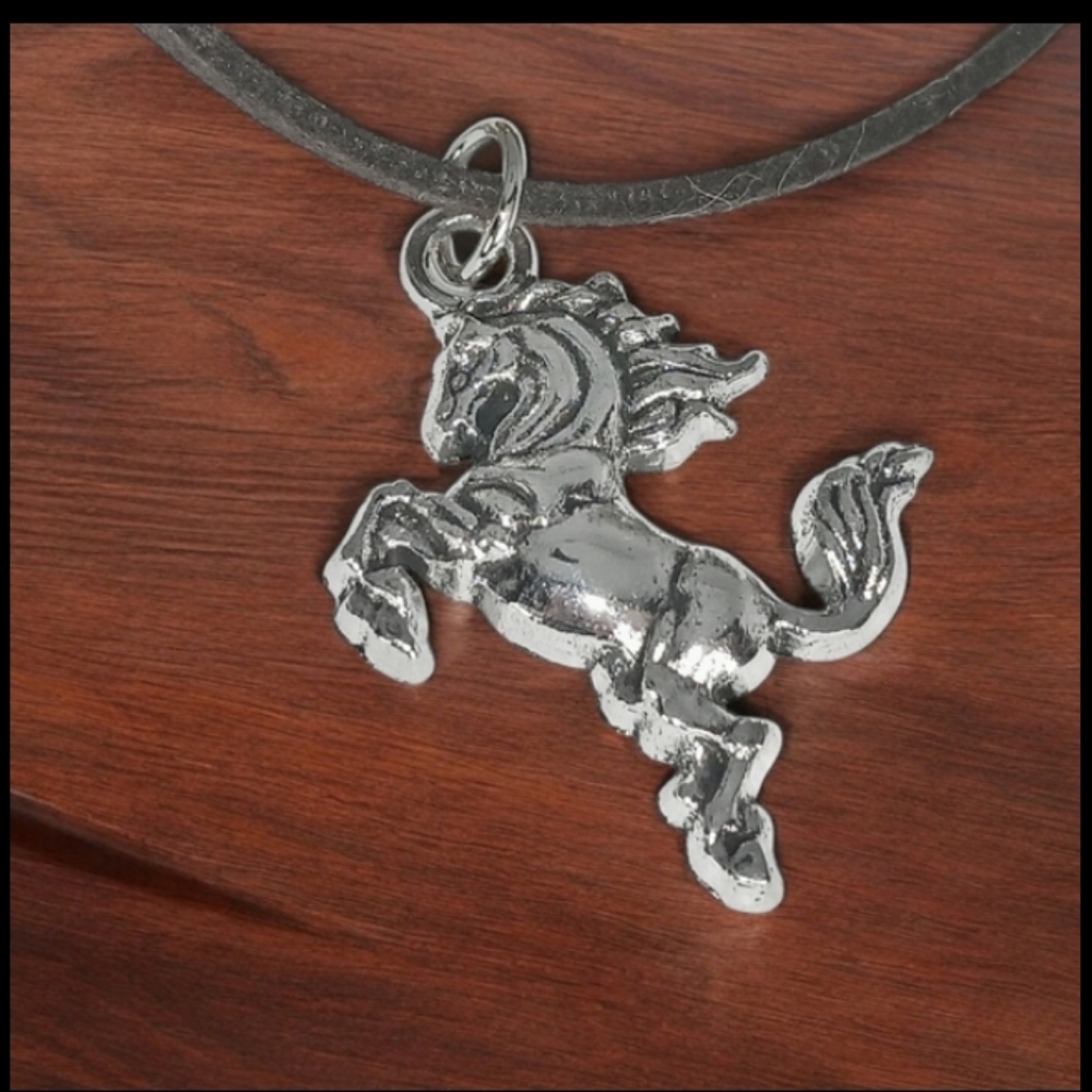Silver Stallion Medallion Necklace Brown Suede Cord Earthy Neutral Westerncore
